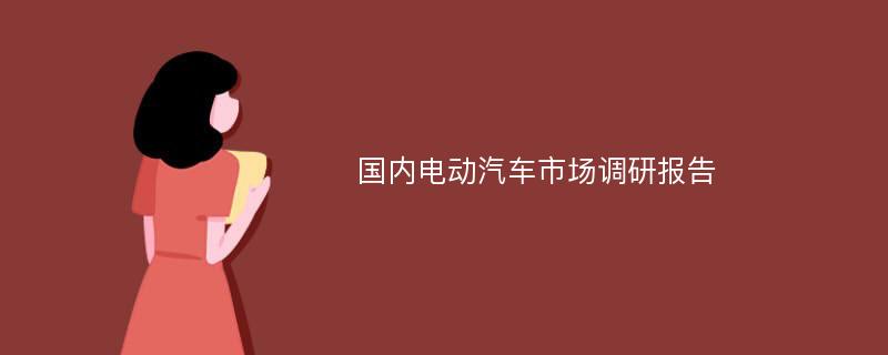 国内电动汽车市场调研报告