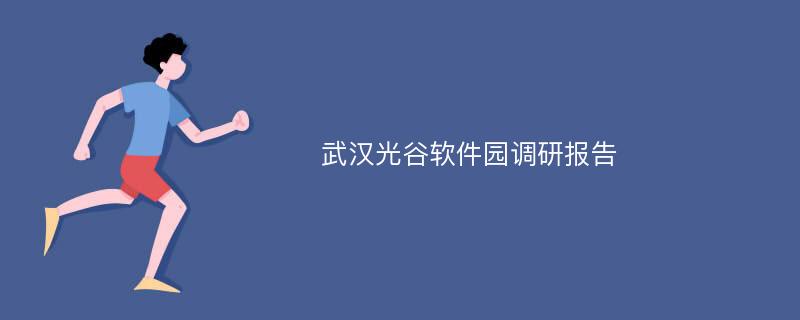 武汉光谷软件园调研报告