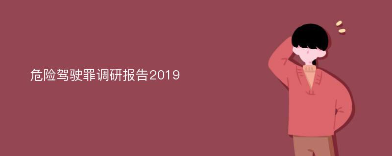 危险驾驶罪调研报告2019