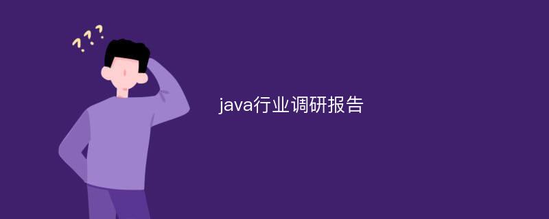 java行业调研报告