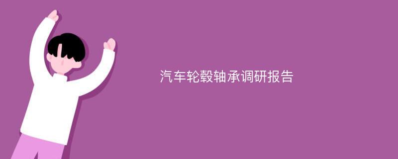 汽车轮毂轴承调研报告