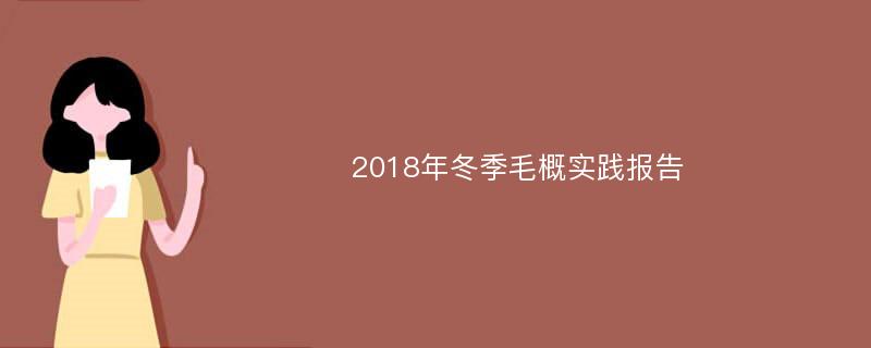 2018年冬季毛概实践报告