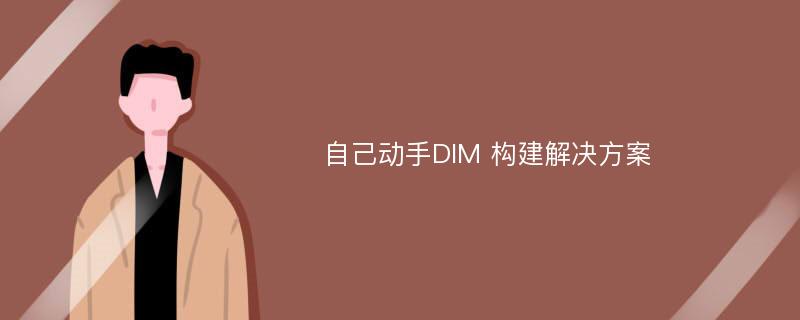 自己动手DIM 构建解决方案