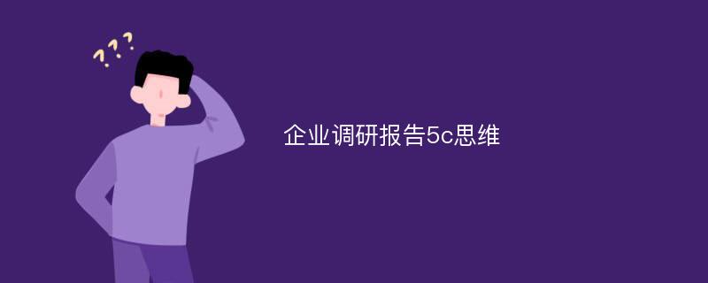 企业调研报告5c思维