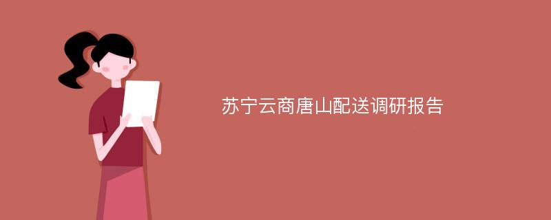 苏宁云商唐山配送调研报告