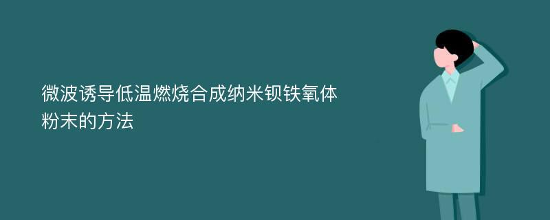 微波诱导低温燃烧合成纳米钡铁氧体粉末的方法