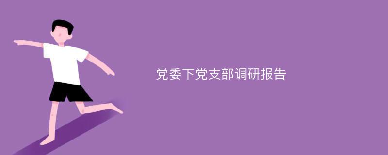 党委下党支部调研报告