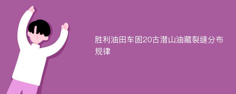 胜利油田车固20古潜山油藏裂缝分布规律