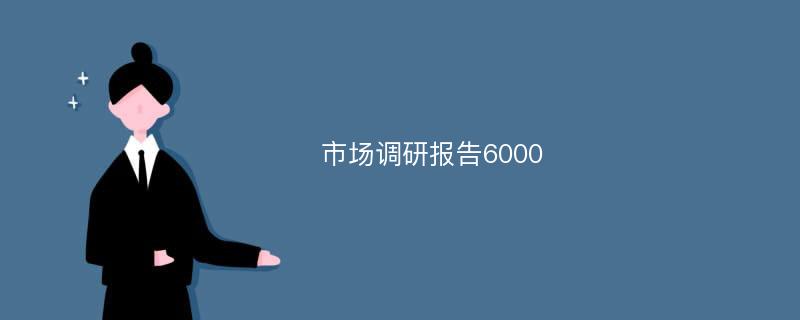 市场调研报告6000