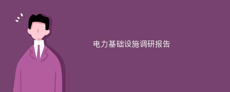 电力基础设施调研报告