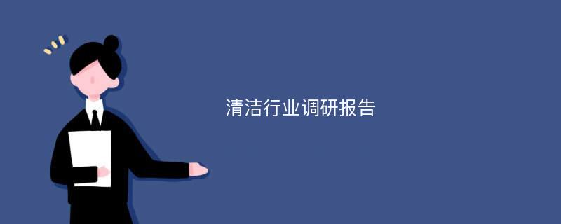 清洁行业调研报告